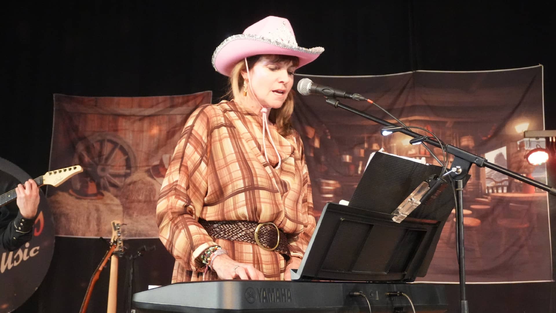 Concert chez les Enfile Tes Bottes à Ouzouer-le-Marché (41) - photo Eric Caumes