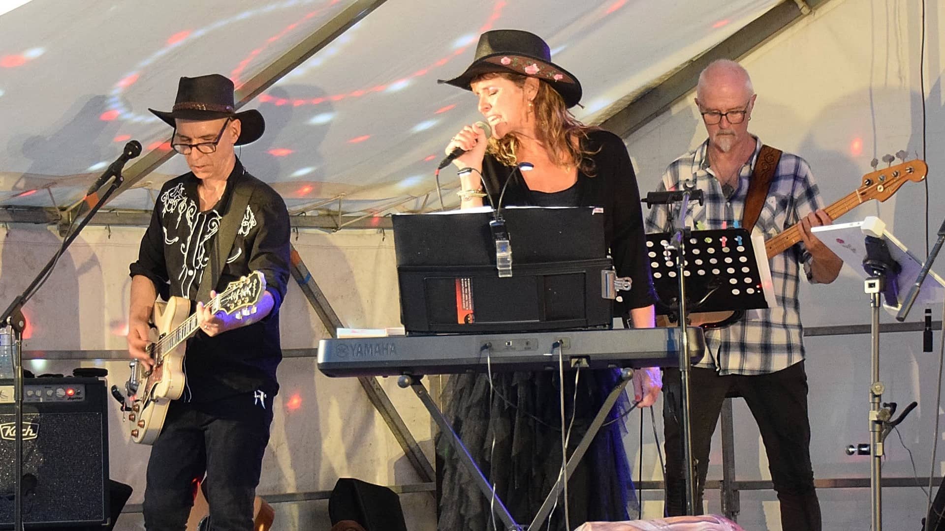 Concert pour l'Estival de Dordives (45) - Photo : Philippe Hareau