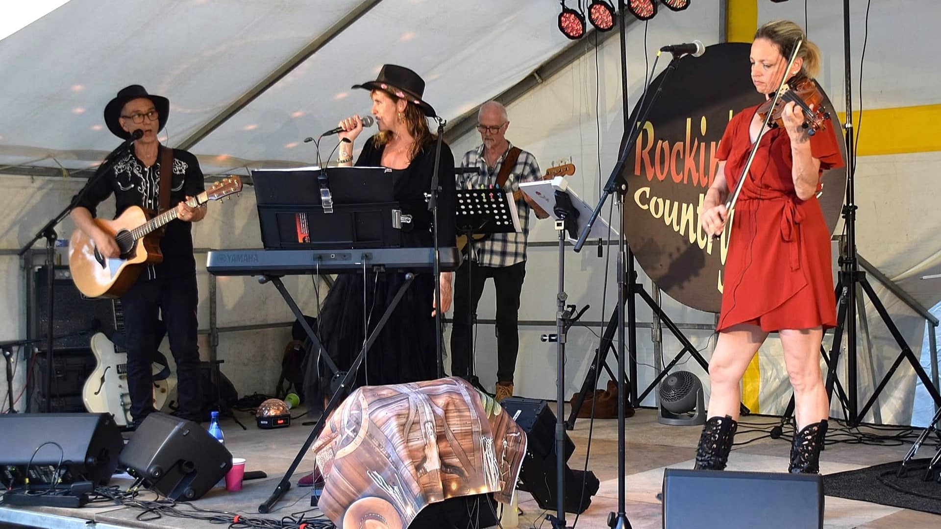 Concert pour l'Estival de Dordives (45) - Photo : Philippe Hareau