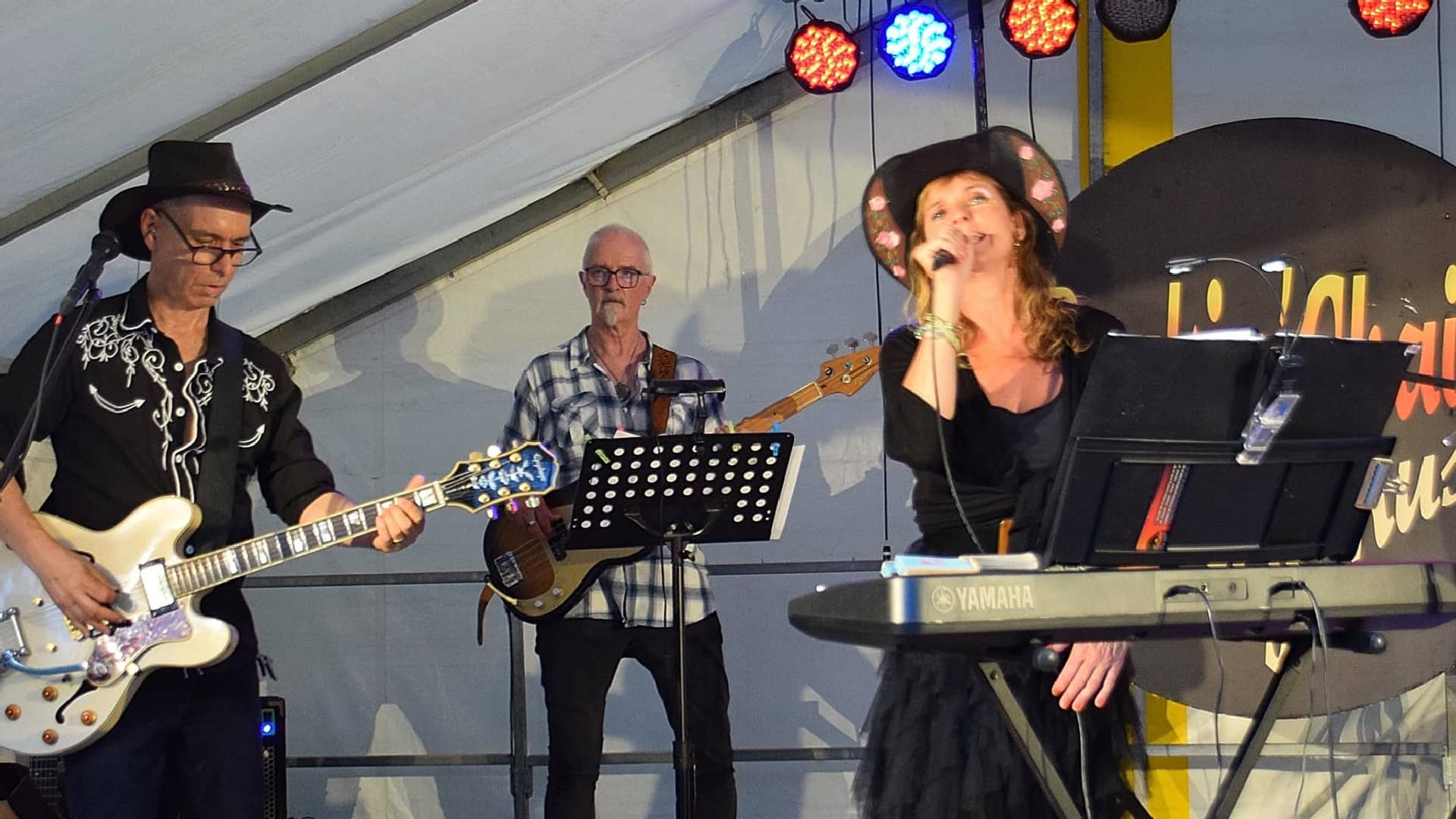 Concert pour l'Estival de Dordives (45) - Photo : Philippe Hareau